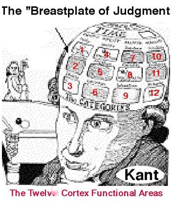 kantcortex.JPG