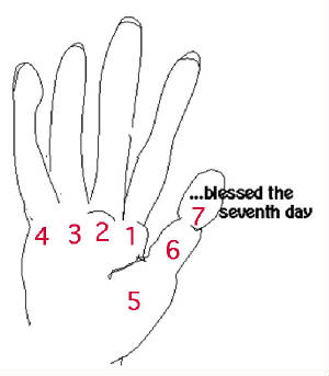 The seven days on the finger metacarpal and thumb 