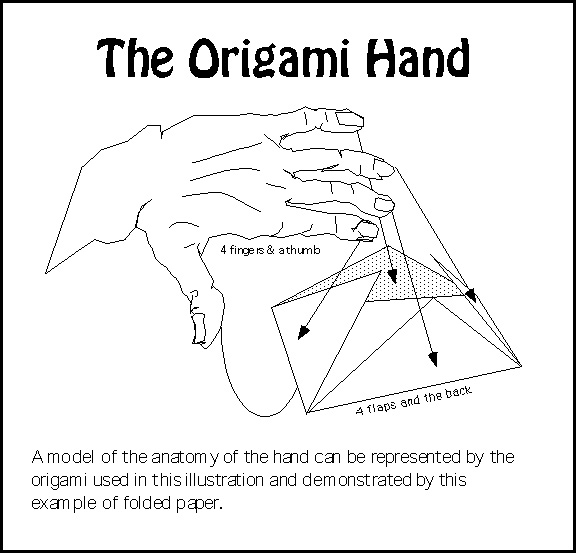 origamihand4.jpg