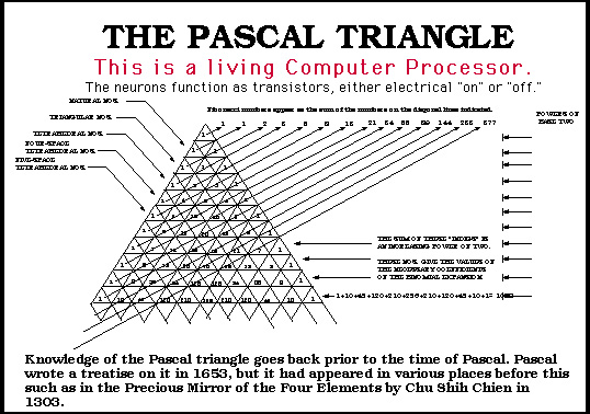 Pascal Triangle showing the Fibonacci Rows 